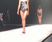 内衣秀小姐姐,内衣秀小姐姐的时尚魅力与舞台风采